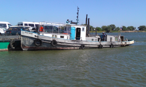 IMAG0178.jpg