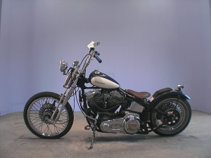 756220101215_l.jpg